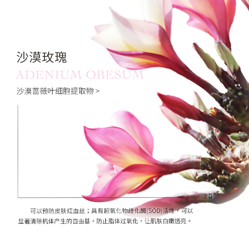 面部护理套装实物图