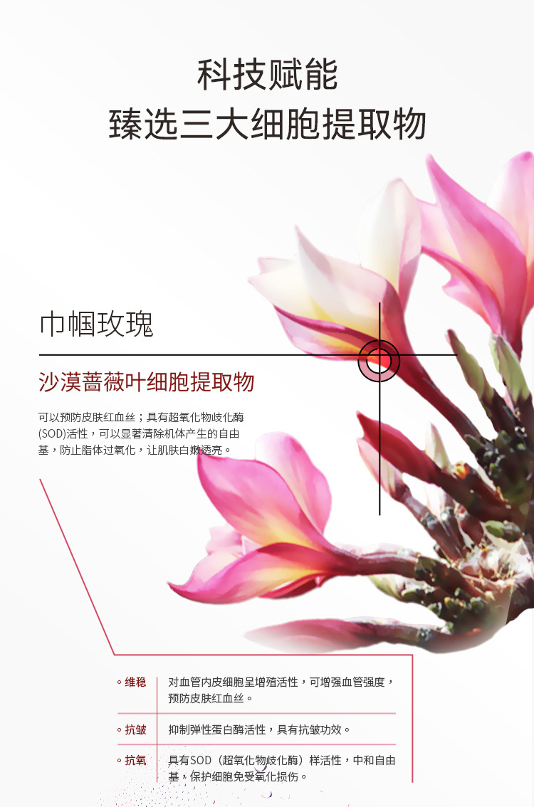 倾芬科技护肤细胞净化套盒详情6