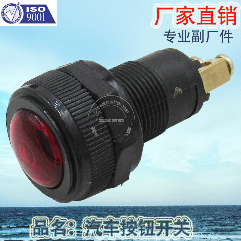 汽车开关/钮子开关/按钮开关产品图
