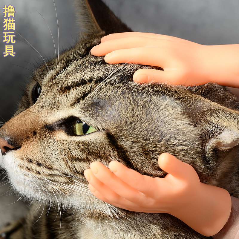 撸猫手指套搪胶手套撸猫玩具小手指套猫猫玩具源头厂家爆款新款宠物用品详情2