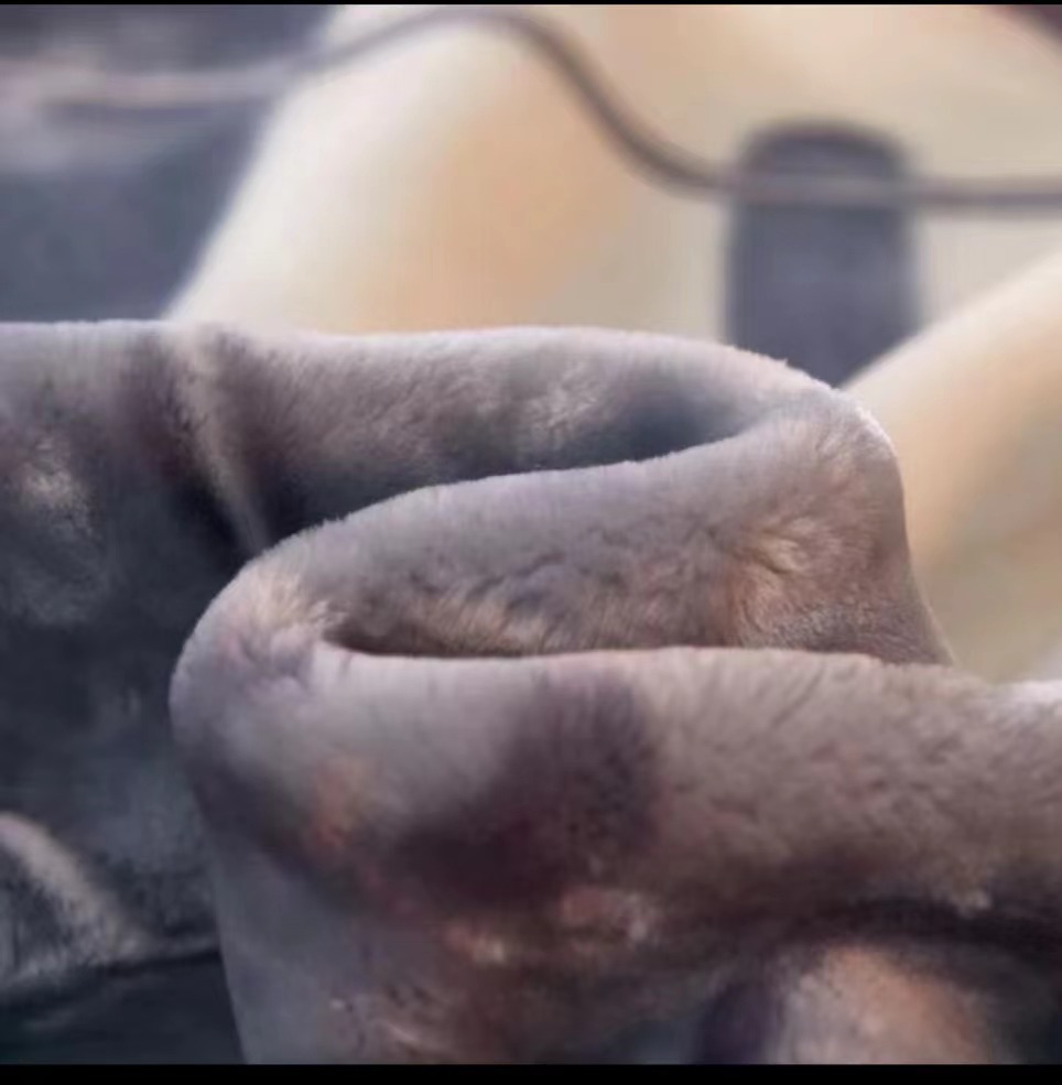 New autumn and winter products in 2025: Double-layer thickened tencel blanket, new Christmas double nap blanket, cloud blanket, Angora blanket, cotton soft blanket pic 4