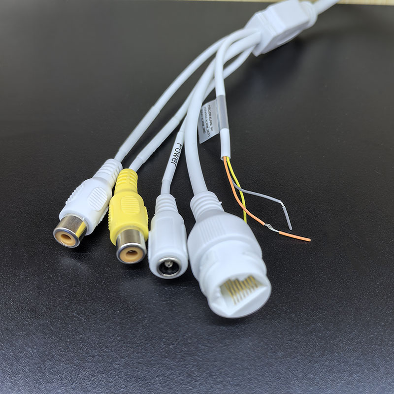 Dahua English Dh-Ipc-Ew5541p-As 5Mp Built-In Audio Infrared Fisheye Panoramic Camera Application Scenario