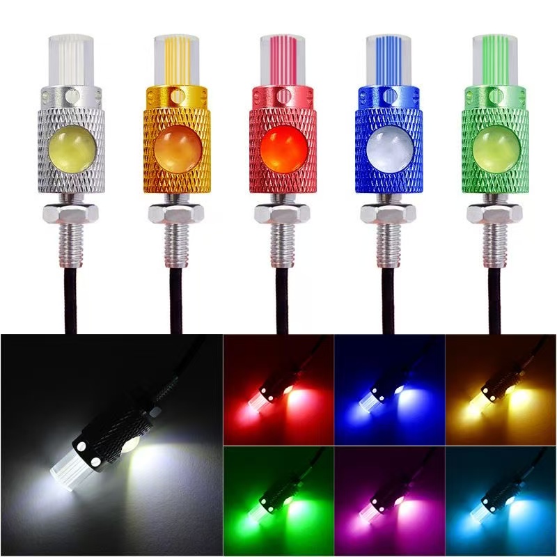 Motorcycle LED lights, eagle eye lights, 12V double-eye license plate lights, screw lights, decorative lights, colored lights, lenses details Picture