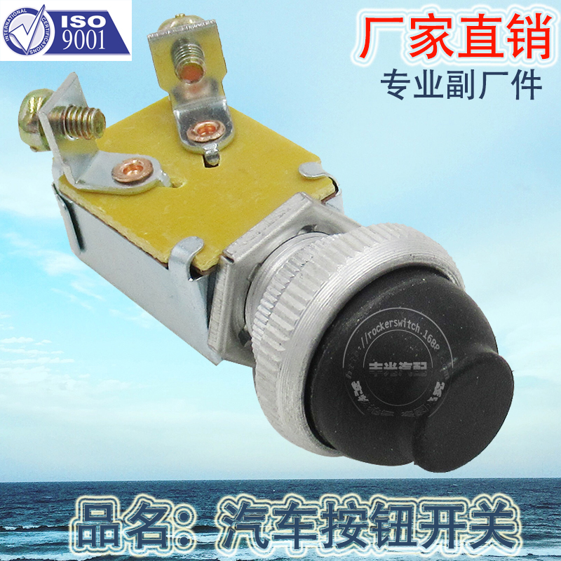 汽车开关/钮子开关/按钮开关产品图