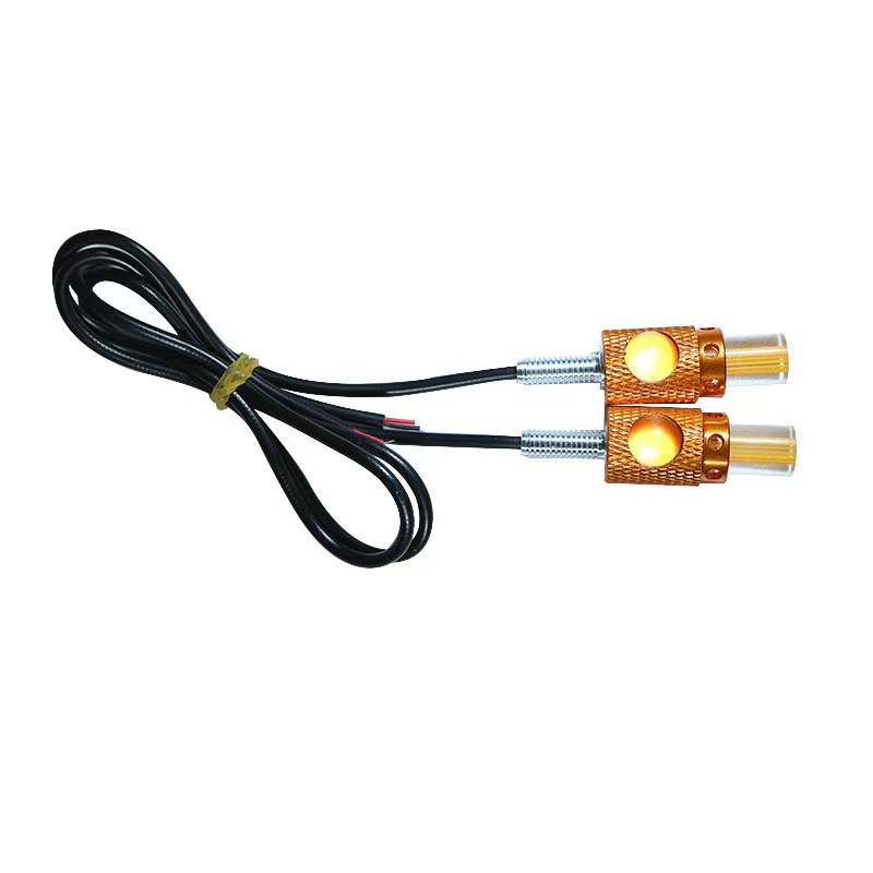 Motorcycle LED lights, eagle eye lights, 12V double-eye license plate lights, screw lights, decorative lights, colored lights, lenses Item Picture