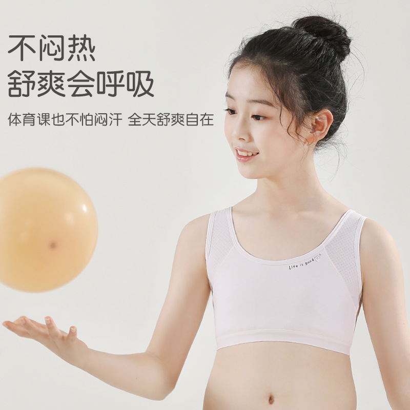 First-stage girls' primary school students' underwear, anti-protrusion, 9-13 years old, small vest, comfortable and breathable girls' bra 1 Specification image