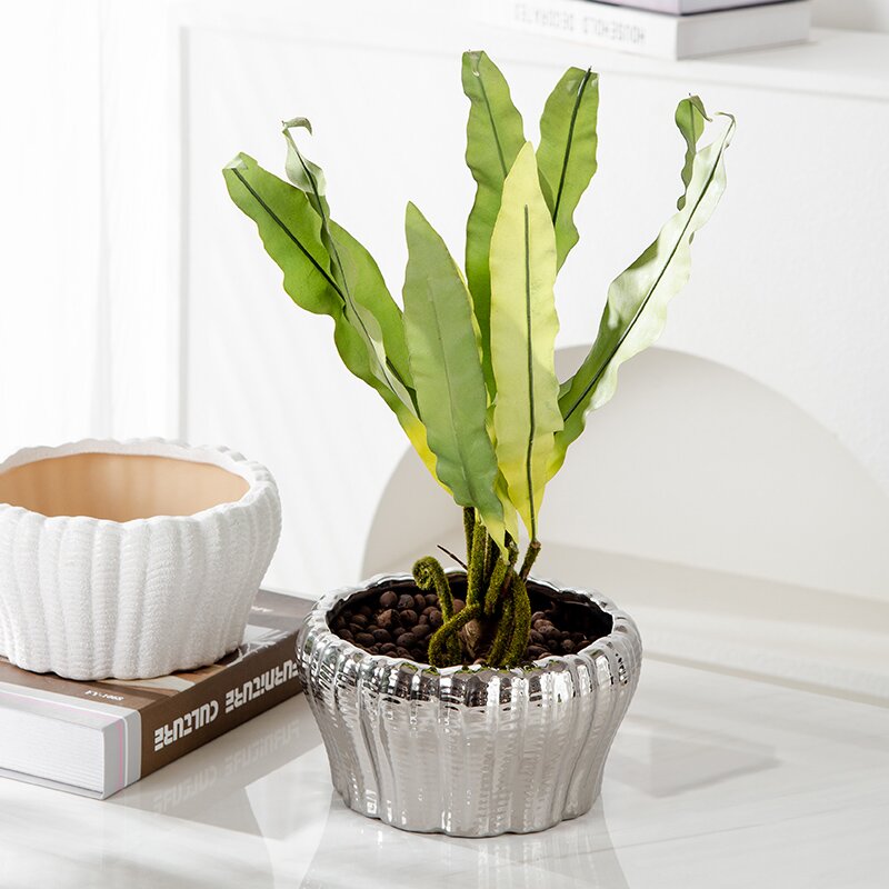 新款陶瓷花盆园艺家用蝴蝶兰多肉花盆客厅庭院酒店黑色白色花盆花器