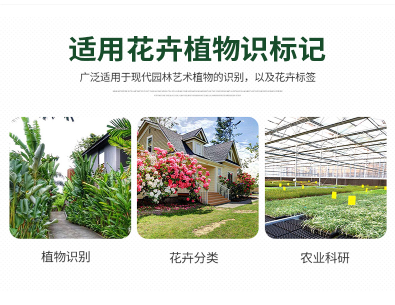 佰世园艺塑料标签插地牌 加厚防水记号标牌多肉植物T型花卉标识牌详情2