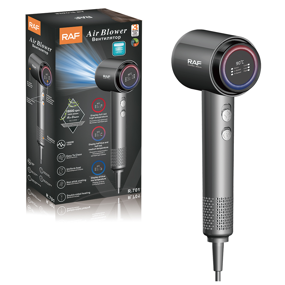 RAF European Standard cross-border high-speed hair dryer, smart temperature control, household high-power quick-drying hair dryer, negative ion R.701 details Picture