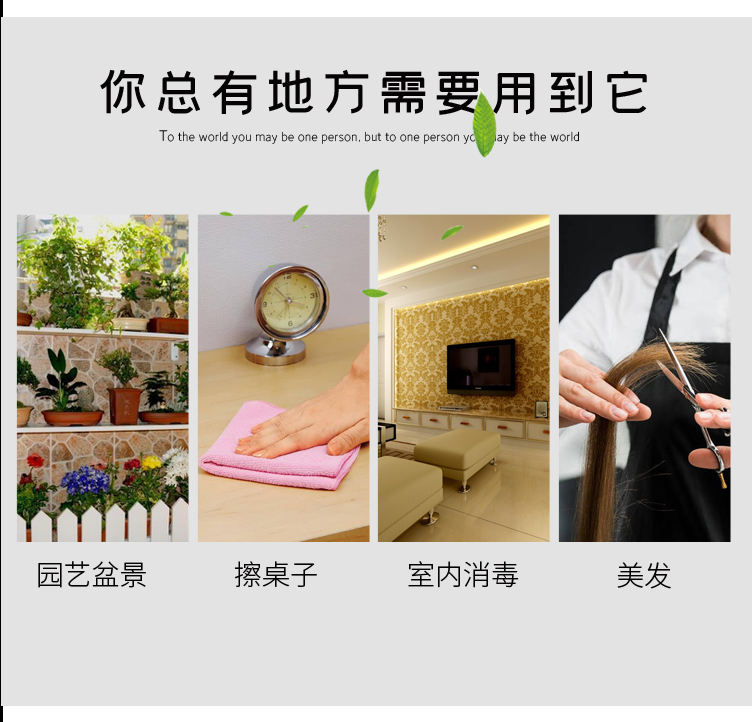 佰世园艺塑料消毒喷壶 家用清洁气压式喷壶 浇花洒水壶美发喷雾器01详情4