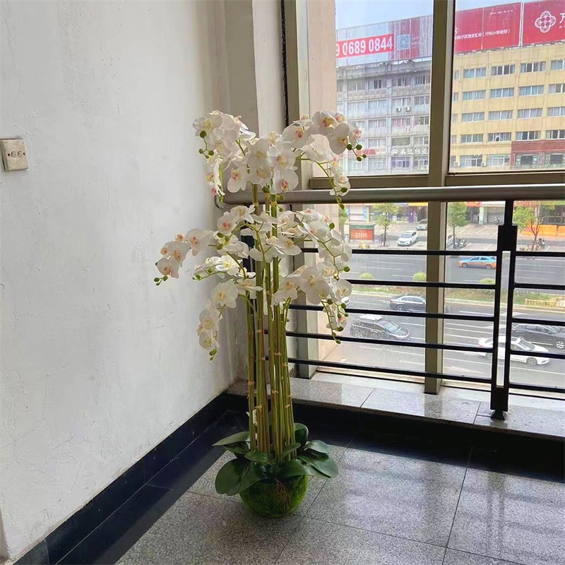 Factory store wholesale potted plants full figure