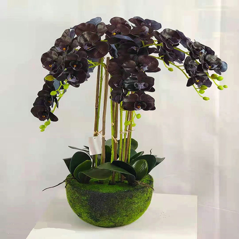 Factory store wholesale potted plants Specification drawing