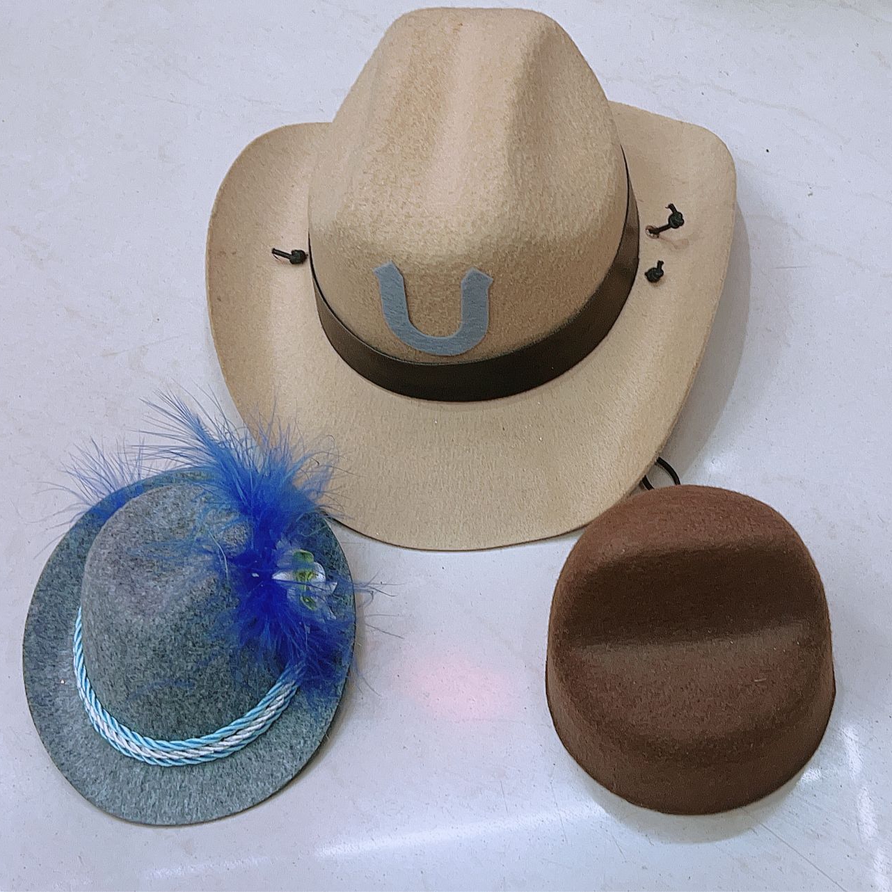 宠物帽子实物图