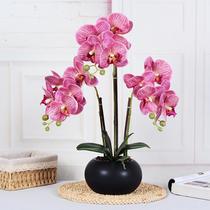 phalaenopsis bonsai fake/artificial flower dining table creative home living room decor decoration orchid simulation plant