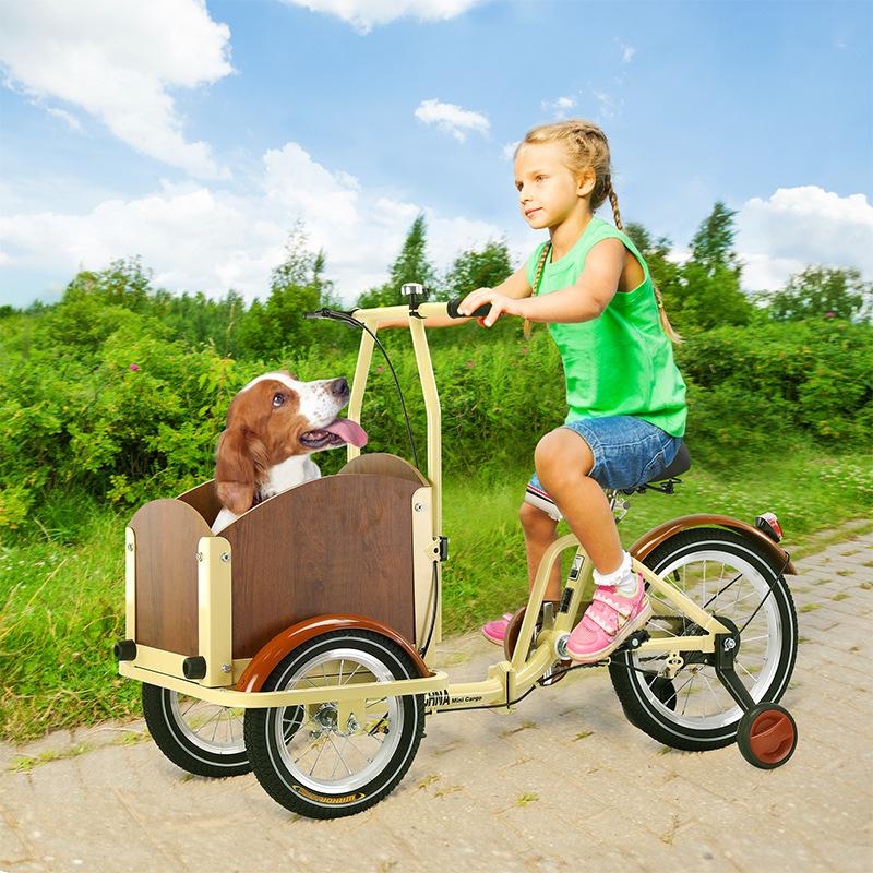 factory cross-border reverse riding tri-wheel bike children's tricycle bicycle internet celebrity reverse riding donkey cargo pet purchase