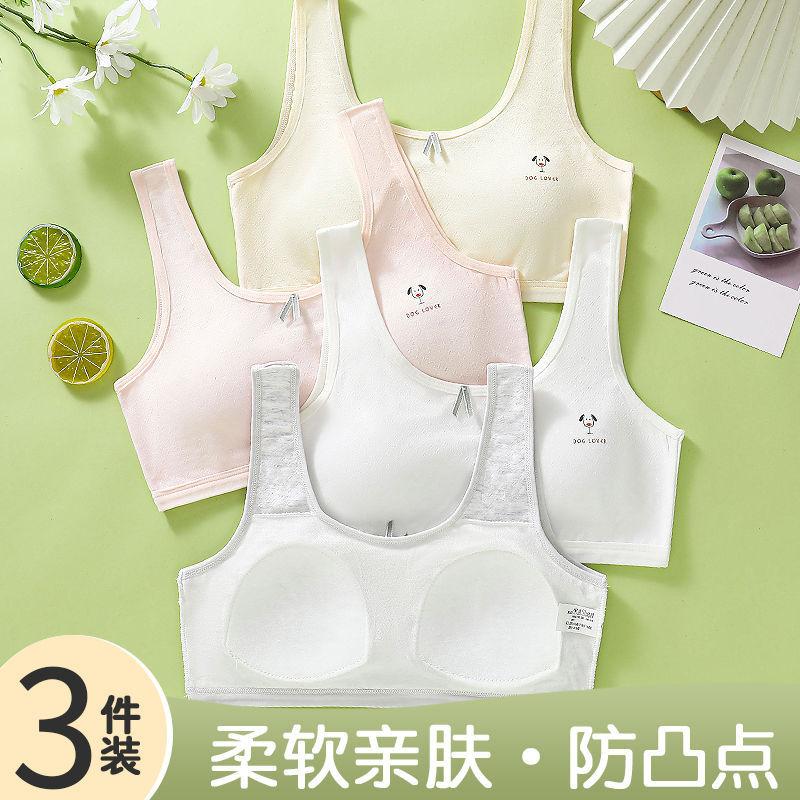 junior high school students girl's underwear older children puberty child girl vest development period elementary school girl bra