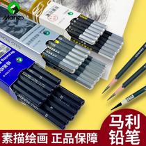 marley pencil sketch charcoal pen drawing painting sketch charcoal hard medium soft white charcoal pencil beginner for art students only