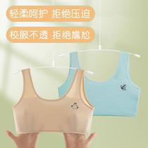 girls' underwear development period 12-year-old girl bra primary school children 10-year-old girl wear vest in the first stage