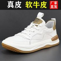 genuine leather white shoes men's new men's shoes genuine leather sneaker trendy versatile casual shoes european station board shoes