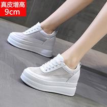 trendy sunday 2024 new platform height increasing insole women's shoes mesh surface white shoes casual sneaker
