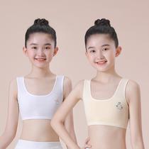 7-9-11-13-14 years old older children and girls development period vest pure cotton tube top girl primary school student underwear
