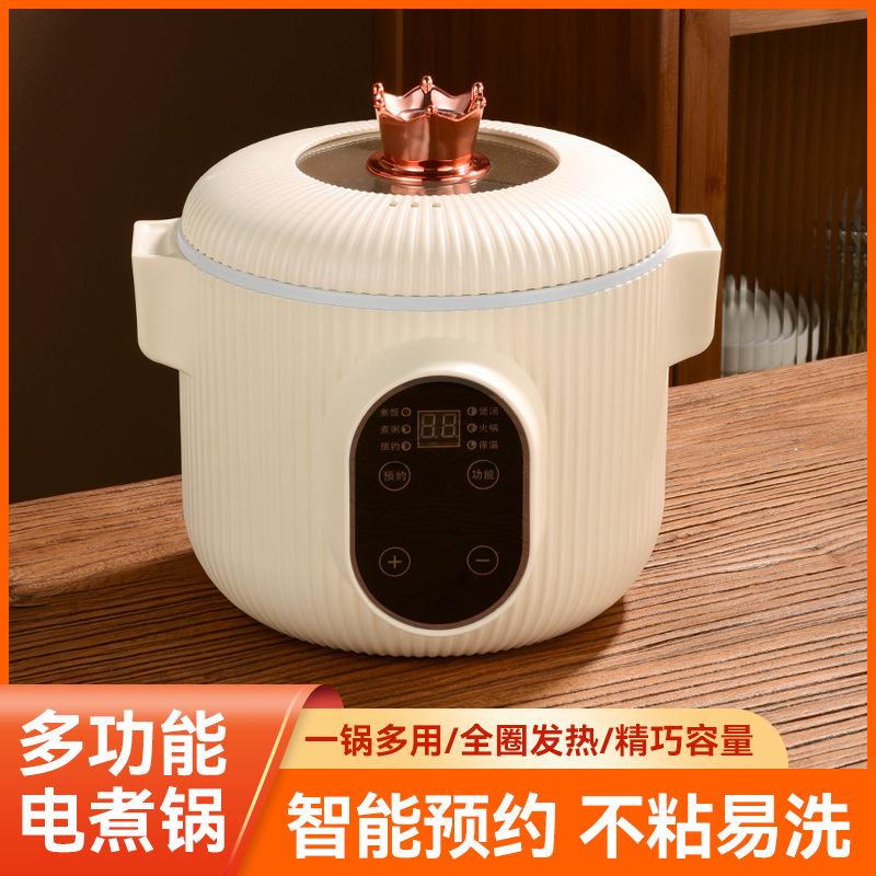 factory wholesale multi-functional electric cooker cooking and braised rice smart reservation home all-in-one pot mini cooking pot