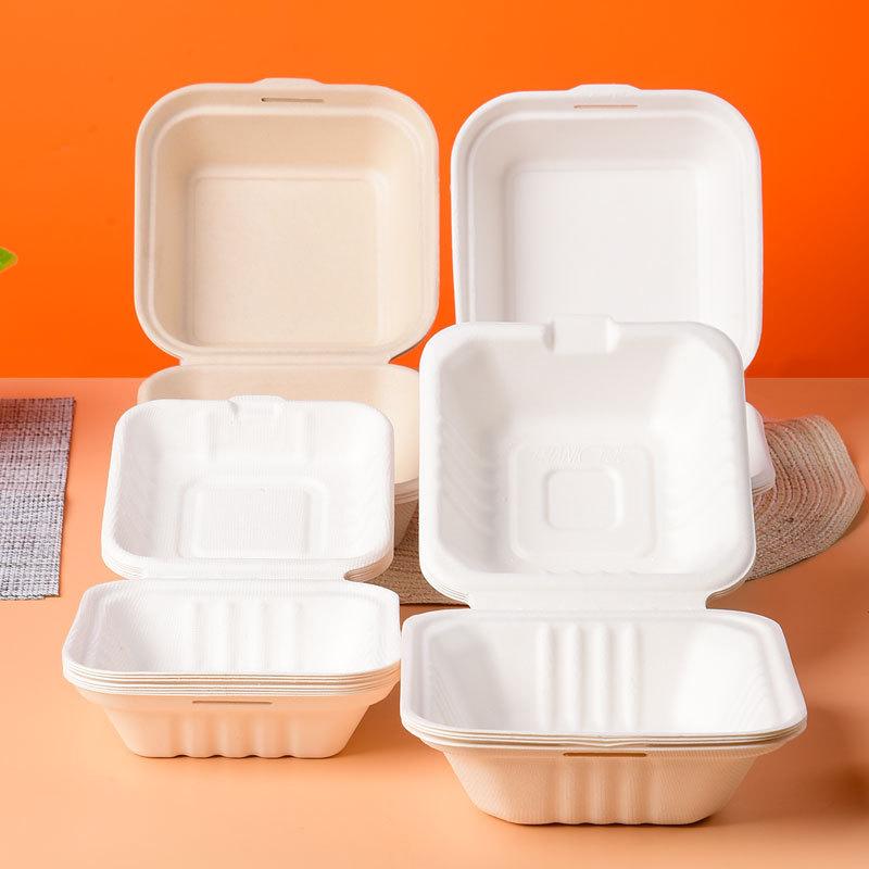 Cake Bento Box Pulp Hamburger Lunch Box Degradable Hand Painting Cake Roll Fruit Box Creative Heating