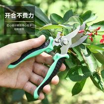 stainless steel gardening scissor pruning shear gardening scissors orchard floral fruit picking scissors garden branch tool scissors floral scissors