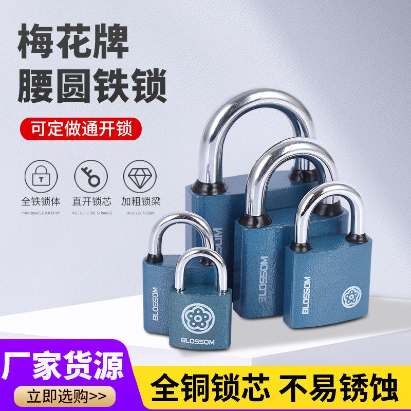 Blue Plastic Plum Lock Plum Card Padlock Warehouse Door Padlock Household Rainwater Proof Anti-Rust Student Dormitory Cabinet Lock