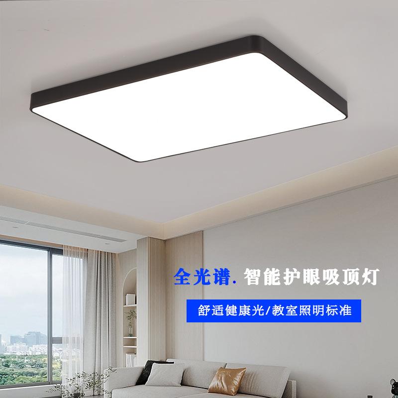 ultra-thin ceiling lamp led complete set of lamps living room bedroom study iron living room live studio top light zhongshan lamps