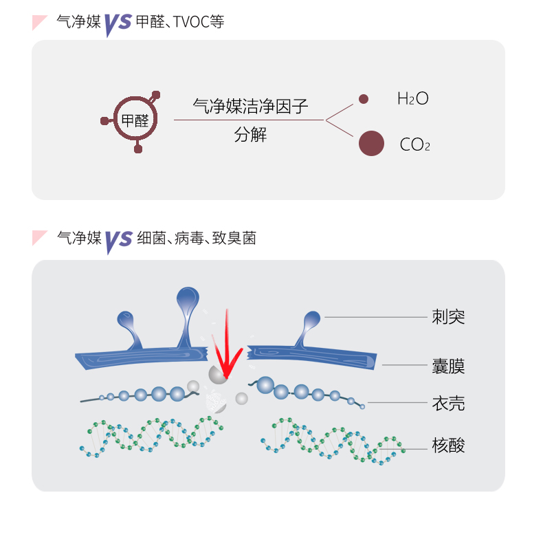 宠物分解臭味瓶尿味粪便气味宠物体味分解5平方空间持续有效3个月详情7