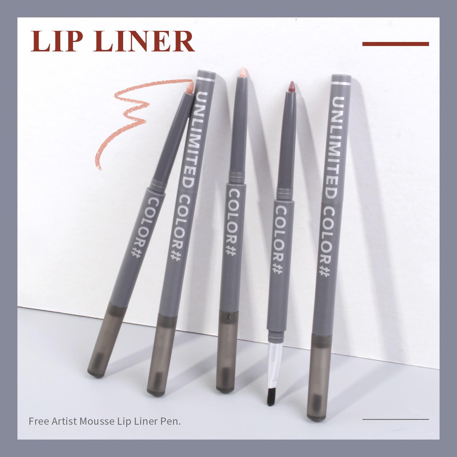 cross-border hot matte lipstick easy to use silky very fine color velvet matte lipstick with brush lip liner