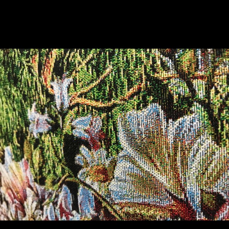 装饰画/沙发装饰画/蝴蝶标本/玄关画/沙发装饰画羽毛画细节图