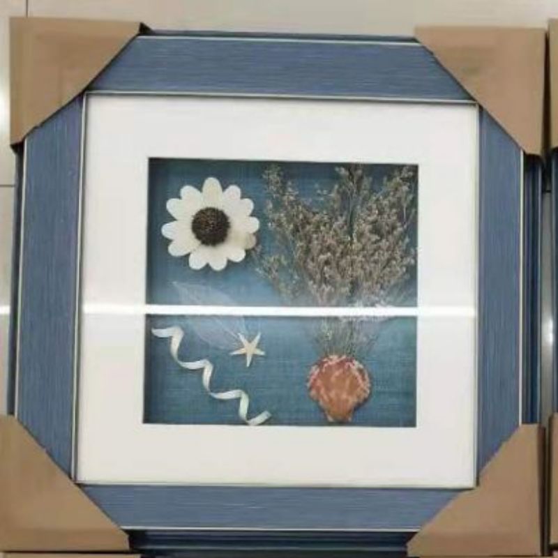 装饰画/沙发装饰画/蝴蝶标本/玄关画/沙发装饰画羽毛画产品图