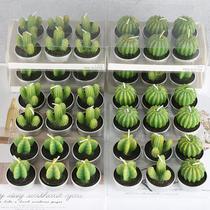 new artistic taper and candle confession artificial succulent pant cactus candle manufacturer supply wholesale
