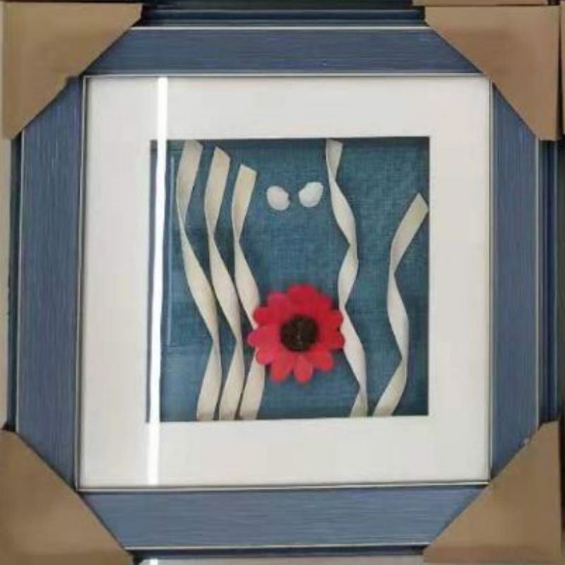 装饰画/沙发装饰画/蝴蝶标本/玄关画/沙发装饰画羽毛画细节图