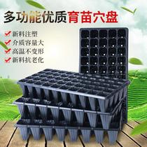 seedling tray planting plate plate dish non-hole box deepening balcony seedling cutting vegetables thickened plug factory wholesale
