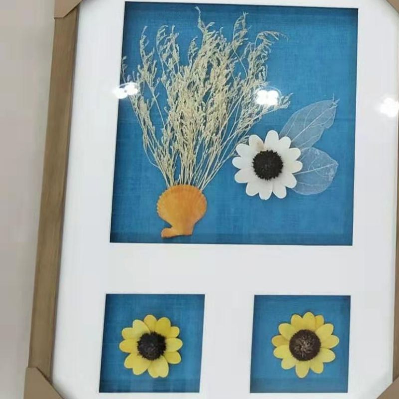 装饰画/沙发装饰画/蝴蝶标本/玄关画/沙发装饰画羽毛画细节图