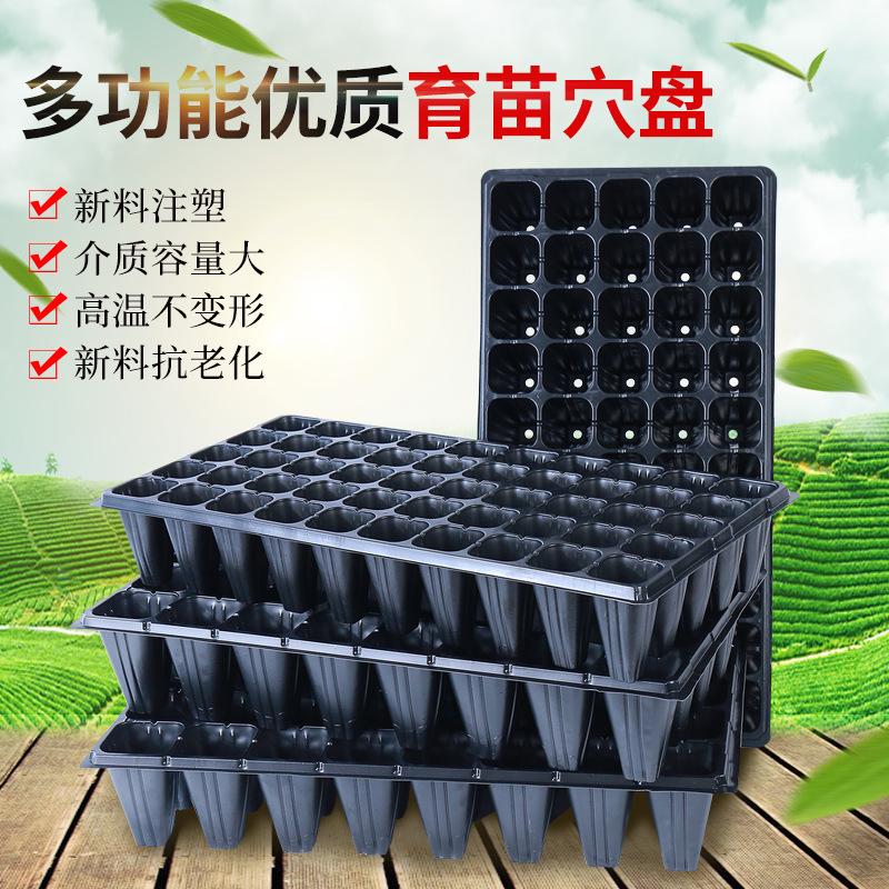 seedling tray planting plate plate dish non-hole box deepening balcony seedling cutting vegetables thickened plug factory wholesale