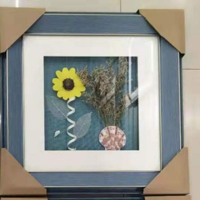 装饰画/沙发装饰画/蝴蝶标本/玄关画/沙发装饰画羽毛画白底实物图