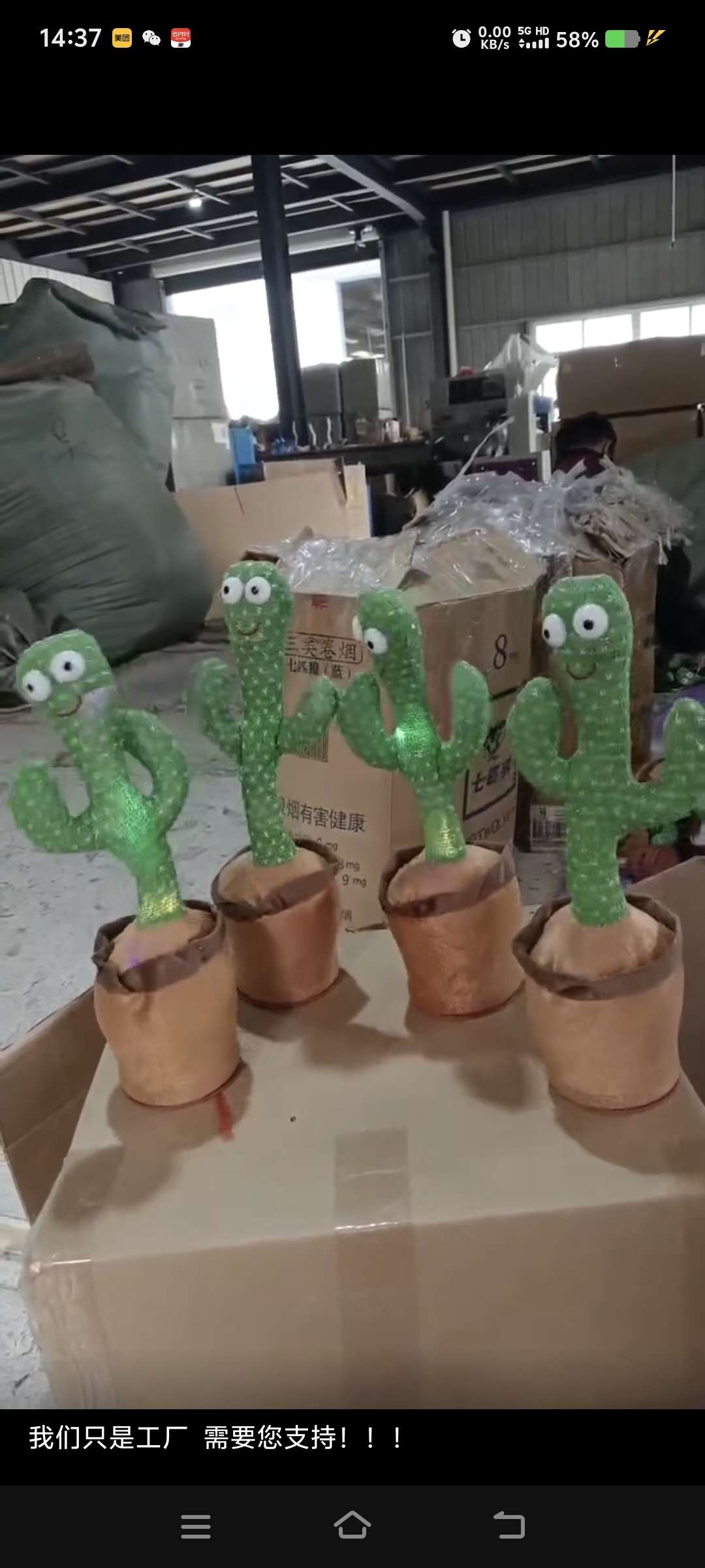 仙人掌唱歌，学说话 玩具玩具儿童玩具