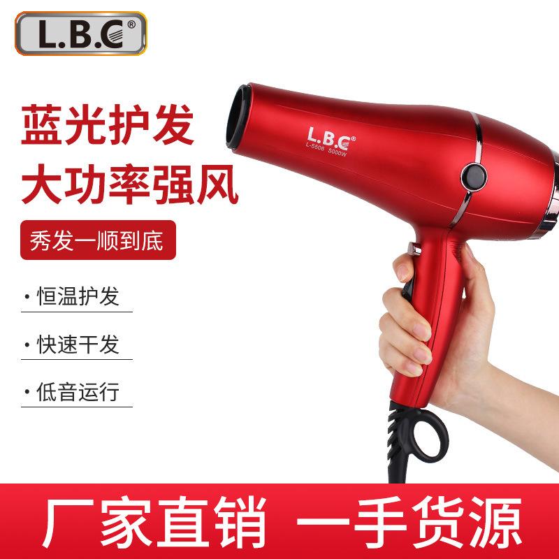 Cross-Border Hair Salon High-Power Hair Dryer Anion Household Hair Salon Hair Dryer Thermostatic Hair Care Hair Dryer