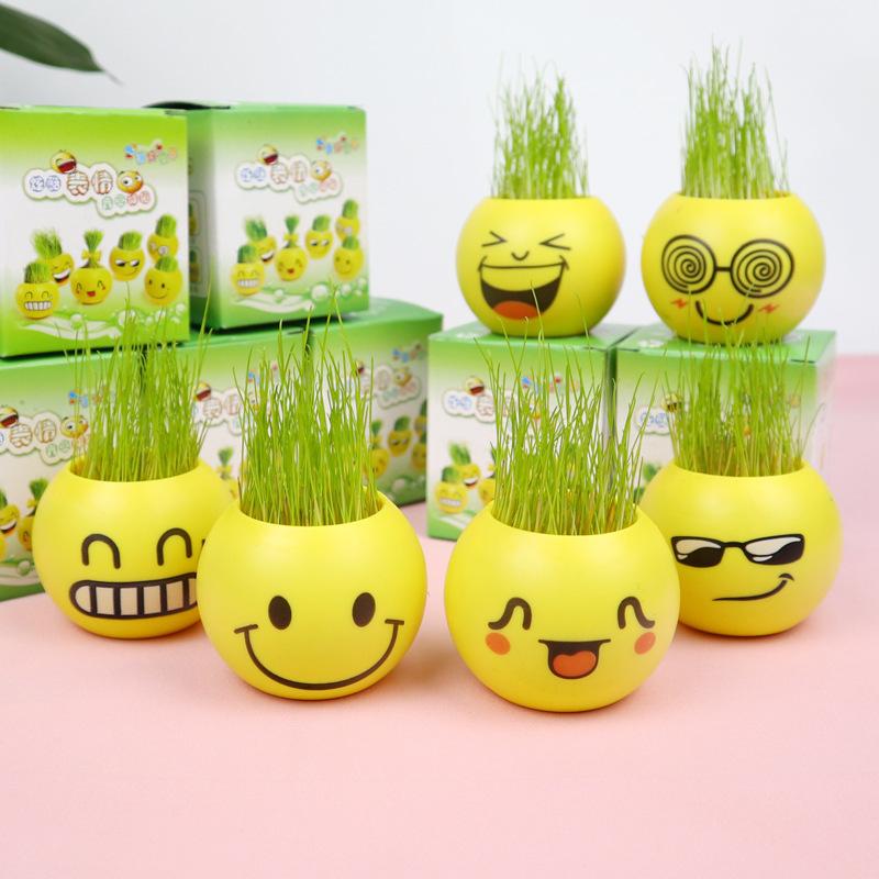 diy plant expression pot blind box mini pot plant home bonsai kindergarten observation germination small gift