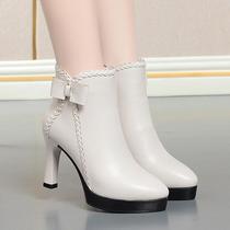 low heel boots women's autumn and winter 2023 new all-matching pointed toe high heel boots women's stiletto heel cotton-padded shoes women's fleece-lined women's ankle boots