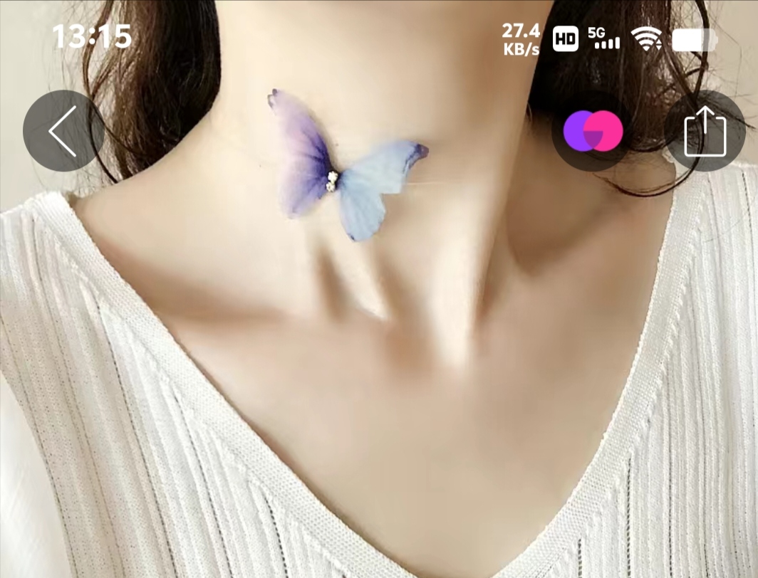 小众锁骨网红超仙蝴蝶脖子锁骨链2024新款气质百搭脖颈蕾项链女小众锁骨网红超仙蝴蝶脖子锁骨链2024新款气质百搭脖颈蕾项详情图2