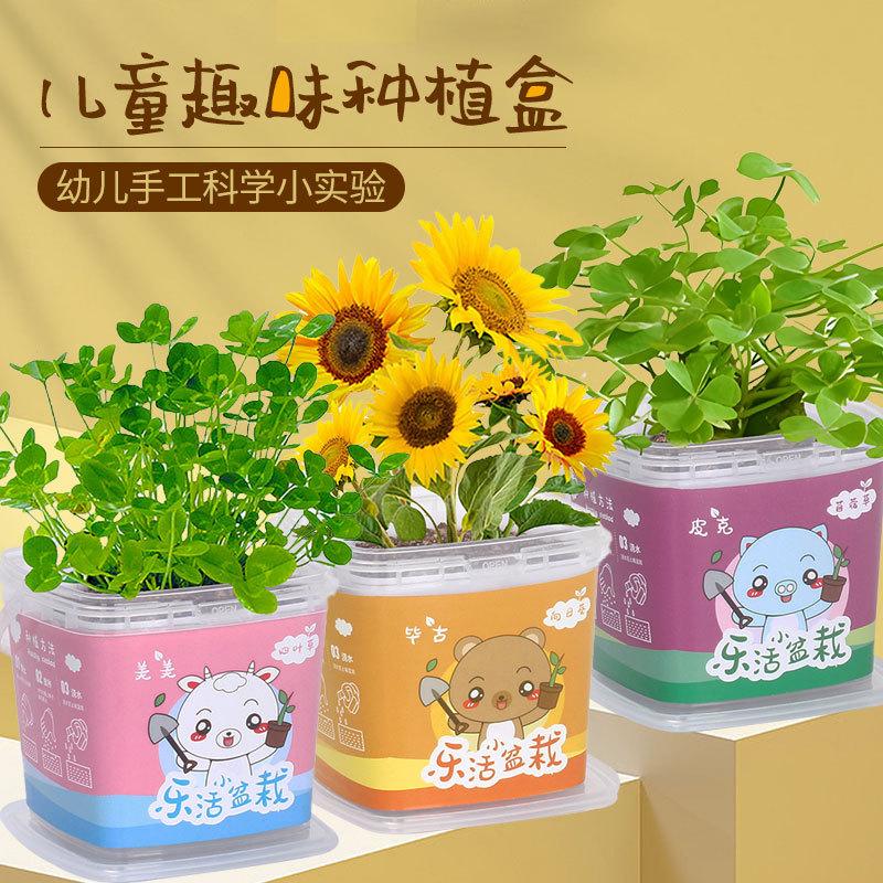 creative mini pot plant children planting plants kindergarten students observe fun easy to feed diy small green plants