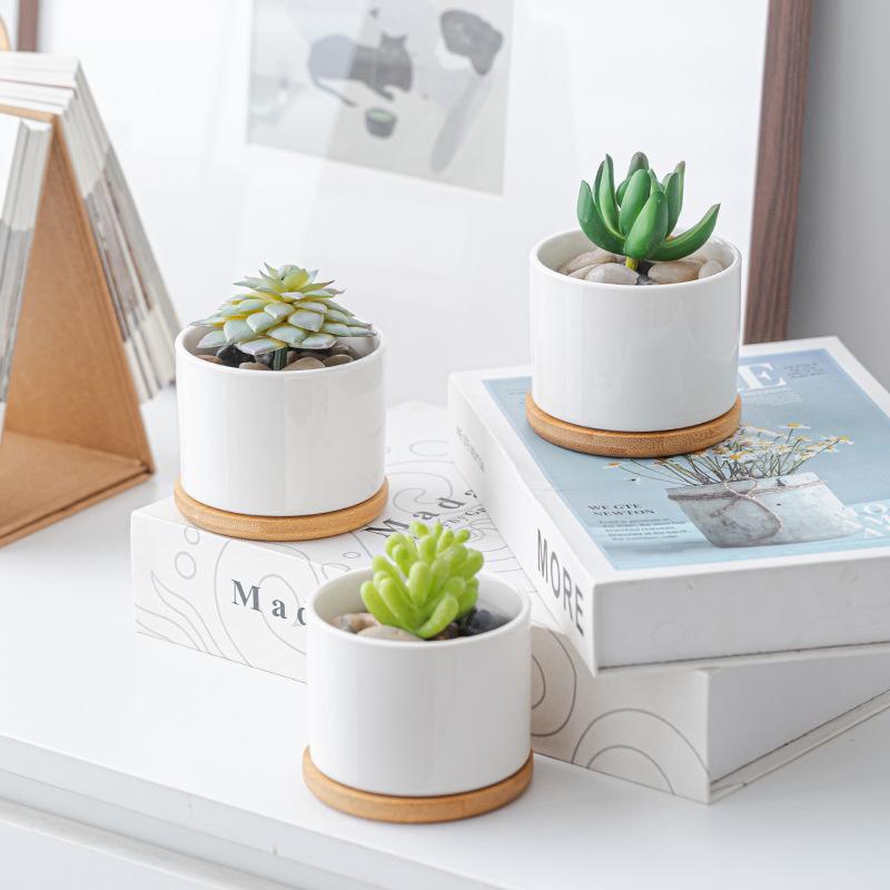 ceramic succulent flower pot creative indoor desktop white pot modern home gardening cross-border white porcelain flower pot printable logo