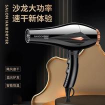 factory direct high-power hair dryer six-gear speed regulating belt overheating protection hair salon same blue light hair care