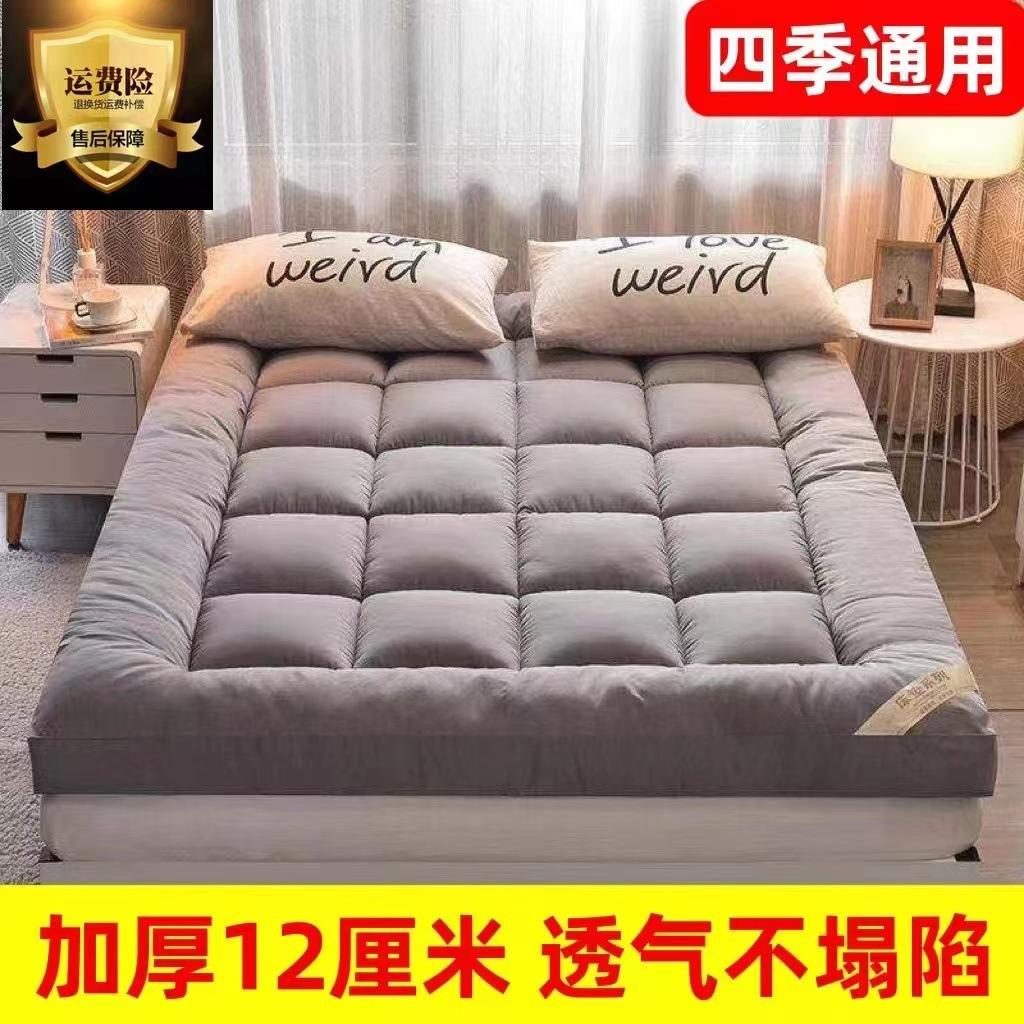 tatami mats cushion rental mattress student dormitory mattress non-slip floor cushion thickened household double