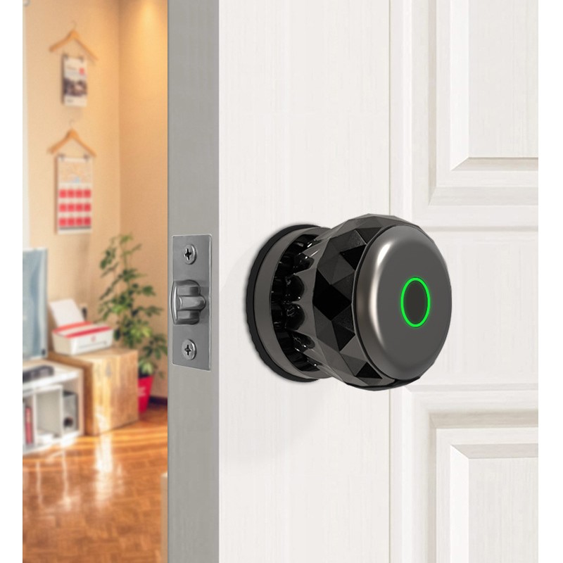 新款室内指纹锁家用木门球形锁智能涂鸦电子锁